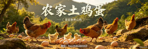 招租