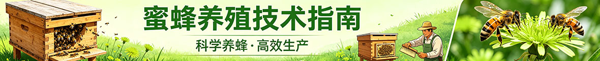 蜜蜂养殖
